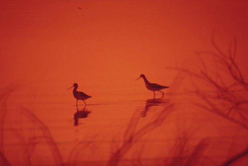 L’art ET l&rsquo;Architecture